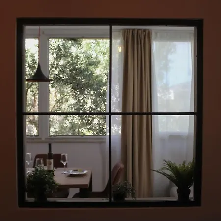 Grandma's House
